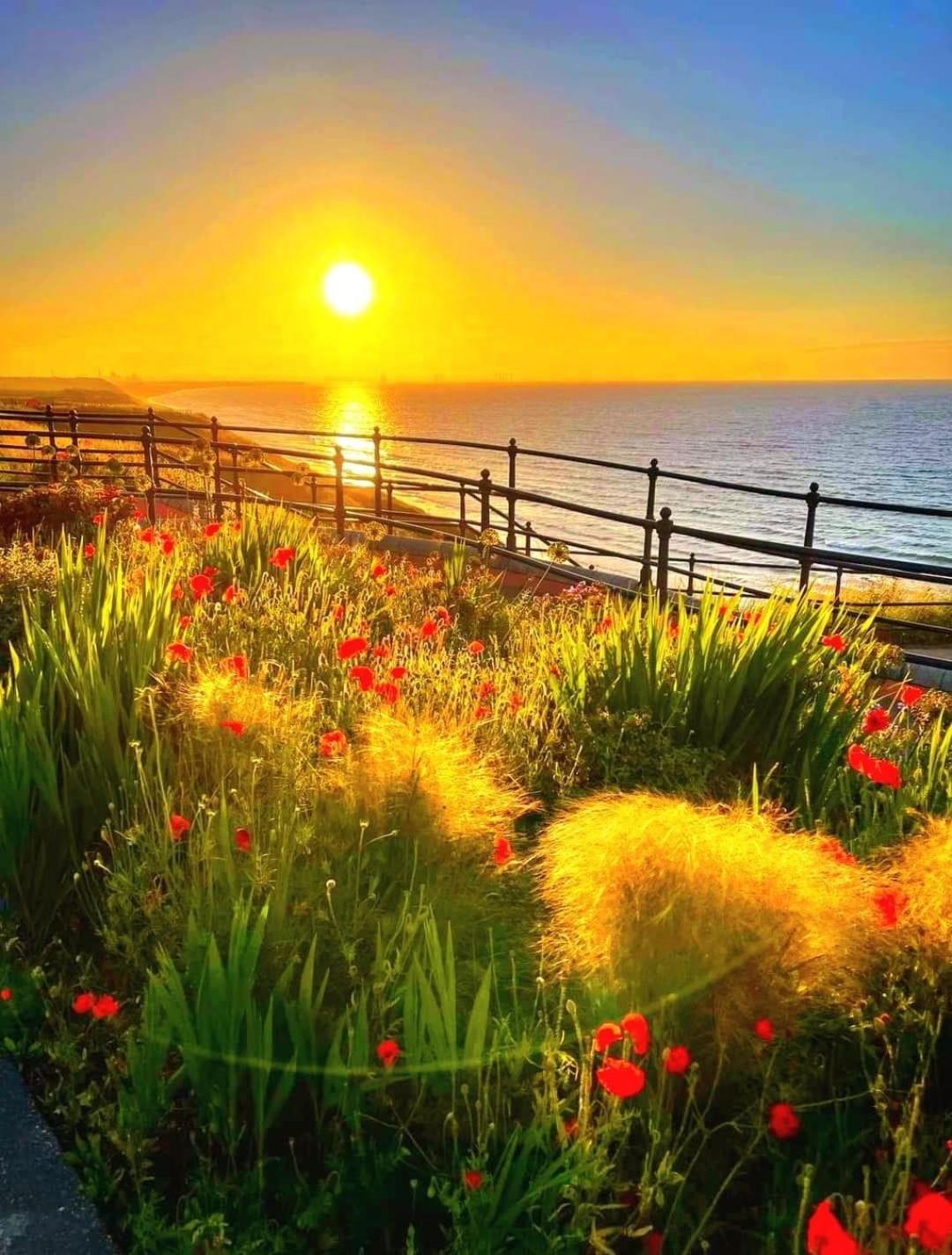 Captain'S Deck Beach Balcony Perfectlysaltburn Exteriör bild